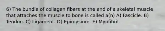 6) The bundle of collagen fibers at the end of a skeletal muscle that attaches the muscle to bone is called a(n) A) Fascicle. B) Tendon. C) Ligament. D) Epimysium. E) Myofibril.