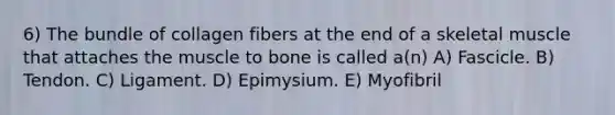 6) The bundle of collagen fibers at the end of a skeletal muscle that attaches the muscle to bone is called a(n) A) Fascicle. B) Tendon. C) Ligament. D) Epimysium. E) Myofibril