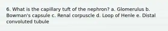 6. What is the capillary tuft of the nephron? a. Glomerulus b. Bowman's capsule c. Renal corpuscle d. Loop of Henle e. Distal convoluted tubule