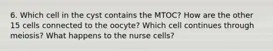 6. Which cell in the cyst contains the MTOC? How are the other 15 cells connected to the oocyte? Which cell continues through meiosis? What happens to the nurse cells?