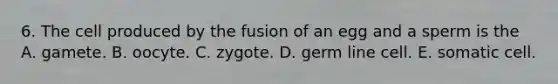 6. The cell produced by the fusion of an egg and a sperm is the A. gamete. B. oocyte. C. zygote. D. germ line cell. E. somatic cell.