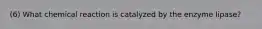 (6) What chemical reaction is catalyzed by the enzyme lipase?