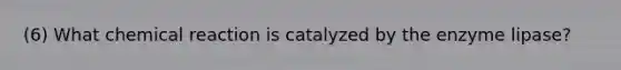 (6) What chemical reaction is catalyzed by the enzyme lipase?