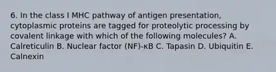 6. In the class I MHC pathway of antigen presentation, cytoplasmic proteins are tagged for proteolytic processing by covalent linkage with which of the following molecules? A. Calreticulin B. Nuclear factor (NF)-κB C. Tapasin D. Ubiquitin E. Calnexin