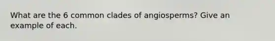 What are the 6 common clades of angiosperms? Give an example of each.