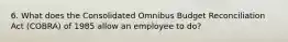 6. What does the Consolidated Omnibus Budget Reconciliation Act (COBRA) of 1985 allow an employee to do?