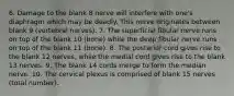 6. Damage to the blank 8 nerve will interfere with one's diaphragm which may be deadly. This nerve originates between blank 9 (vertebral nerves). 7. The superficial fibular nerve runs on top of the blank 10 (bone) while the deep fibular nerve runs on top of the blank 11 (bone). 8. The posterior cord gives rise to the blank 12 nerves, while the medial cord gives rise to the blank 13 nerves. 9. The blank 14 cords merge to form the median nerve. 10. The cervical plexus is comprised of blank 15 nerves (total number).