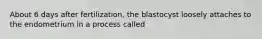 About 6 days after fertilization, the blastocyst loosely attaches to the endometrium in a process called