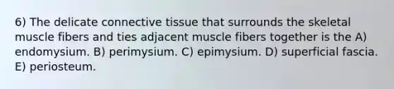 6) The delicate connective tissue that surrounds the skeletal muscle fibers and ties adjacent muscle fibers together is the A) endomysium. B) perimysium. C) epimysium. D) superficial fascia. E) periosteum.