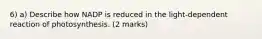6) a) Describe how NADP is reduced in the light-dependent reaction of photosynthesis. (2 marks)
