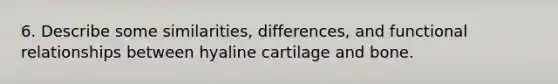 6. Describe some similarities, differences, and functional relationships between hyaline cartilage and bone.