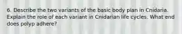 6. Describe the two variants of the basic body plan in Cnidaria. Explain the role of each variant in Cnidarian life cycles. What end does polyp adhere?