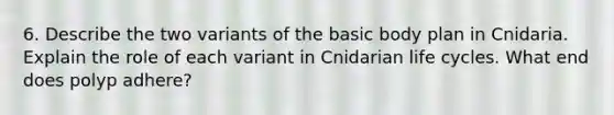 6. Describe the two variants of the basic body plan in Cnidaria. Explain the role of each variant in Cnidarian life cycles. What end does polyp adhere?