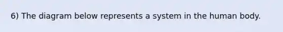 6) The diagram below represents a system in the human body.