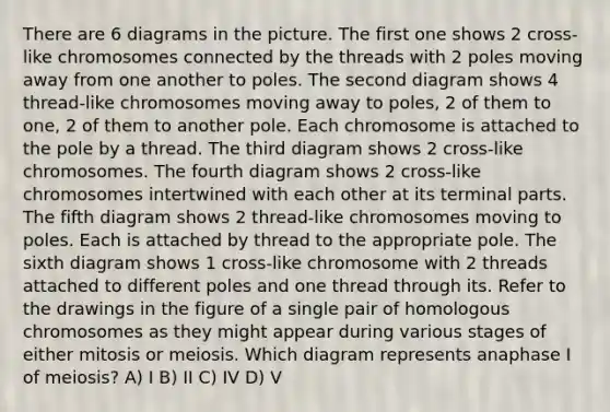 There are 6 diagrams in the picture. The first one shows 2 cross-like chromosomes connected by the threads with 2 poles moving away from one another to poles. The second diagram shows 4 thread-like chromosomes moving away to poles, 2 of them to one, 2 of them to another pole. Each chromosome is attached to the pole by a thread. The third diagram shows 2 cross-like chromosomes. The fourth diagram shows 2 cross-like chromosomes intertwined with each other at its terminal parts. The fifth diagram shows 2 thread-like chromosomes moving to poles. Each is attached by thread to the appropriate pole. The sixth diagram shows 1 cross-like chromosome with 2 threads attached to different poles and one thread through its. Refer to the drawings in the figure of a single pair of homologous chromosomes as they might appear during various stages of either mitosis or meiosis. Which diagram represents anaphase I of meiosis? A) I B) II C) IV D) V