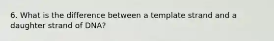 6. What is the difference between a template strand and a daughter strand of DNA?