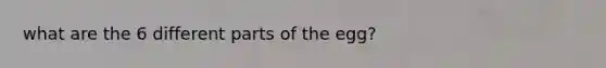 what are the 6 different parts of the egg?