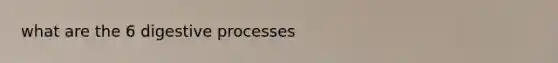 what are the 6 digestive processes