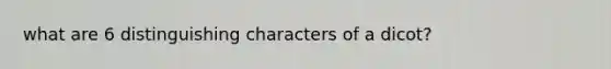 what are 6 distinguishing characters of a dicot?