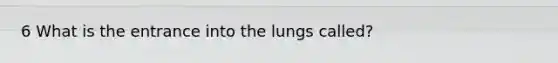 6 What is the entrance into the lungs called?