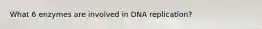 What 6 enzymes are involved in DNA replication?