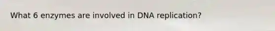 What 6 enzymes are involved in DNA replication?