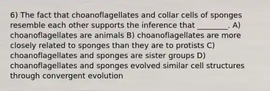 6) The fact that choanoflagellates and collar cells of sponges resemble each other supports the inference that ________. A) choanoflagellates are animals B) choanoflagellates are more closely related to sponges than they are to protists C) choanoflagellates and sponges are sister groups D) choanoflagellates and sponges evolved similar cell structures through convergent evolution