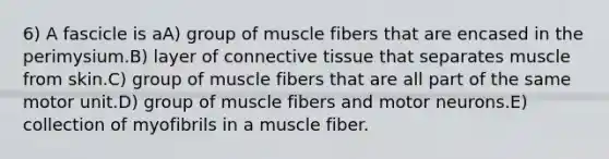 6) A fascicle is aA) group of muscle fibers that are encased in the perimysium.B) layer of connective tissue that separates muscle from skin.C) group of muscle fibers that are all part of the same motor unit.D) group of muscle fibers and motor neurons.E) collection of myofibrils in a muscle fiber.