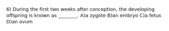 6) During the first two weeks after conception, the developing offspring is known as ________. A)a zygote B)an embryo C)a fetus D)an ovum