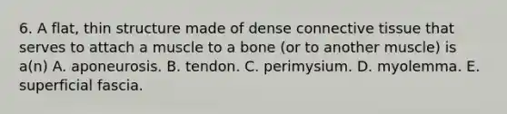 6. A flat, thin structure made of dense connective tissue that serves to attach a muscle to a bone (or to another muscle) is a(n) A. aponeurosis. B. tendon. C. perimysium. D. myolemma. E. superficial fascia.