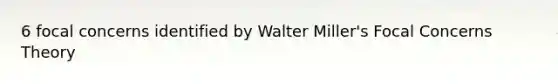 6 focal concerns identified by Walter Miller's Focal Concerns Theory​