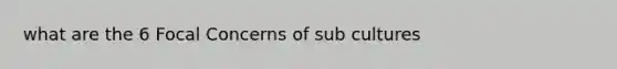 what are the 6 Focal Concerns of sub cultures