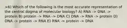 >6) Which of the following is the most accurate representation of the central dogma of molecular biology? A) RNA -> DNA -> protein B) protein -> RNA -> DNA C) DNA -> RNA -> protein D) DNA -> protein -> RNA E) RNA -> protein -> DNA