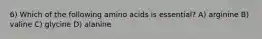 6) Which of the following amino acids is essential? A) arginine B) valine C) glycine D) alanine