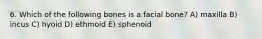 6. Which of the following bones is a facial bone? A) maxilla B) incus C) hyoid D) ethmoid E) sphenoid