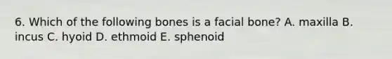 6. Which of the following bones is a facial bone? A. maxilla B. incus C. hyoid D. ethmoid E. sphenoid