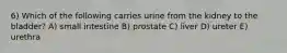 6) Which of the following carries urine from the kidney to the bladder? A) small intestine B) prostate C) liver D) ureter E) urethra