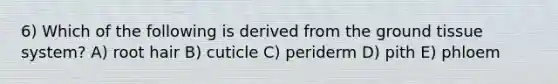 6) Which of the following is derived from the <a href='https://www.questionai.com/knowledge/kb0kKBaH0H-ground-tissue' class='anchor-knowledge'>ground tissue</a> system? A) root hair B) cuticle C) periderm D) pith E) phloem