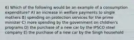 6) Which of the following would be an example of a consumption expenditure? A) an increase in welfare payments to single mothers B) spending on protection services for the prime minister C) more spending by the government on children's programs D) the purchase of a new car by the IPSCO steel company E) the purchase of a new car by the Singh household