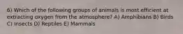 6) Which of the following groups of animals is most efficient at extracting oxygen from the atmosphere? A) Amphibians B) Birds C) Insects D) Reptiles E) Mammals