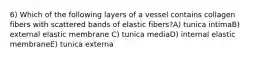 6) Which of the following layers of a vessel contains collagen fibers with scattered bands of elastic fibers?A) tunica intimaB) external elastic membrane C) tunica mediaD) internal elastic membraneE) tunica externa