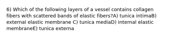 6) Which of the following layers of a vessel contains collagen fibers with scattered bands of elastic fibers?A) tunica intimaB) external elastic membrane C) tunica mediaD) internal elastic membraneE) tunica externa