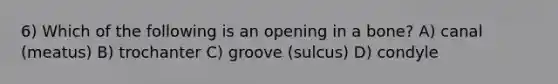 6) Which of the following is an opening in a bone? A) canal (meatus) B) trochanter C) groove (sulcus) D) condyle