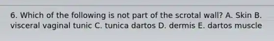 6. Which of the following is not part of the scrotal wall? A. Skin B. visceral vaginal tunic C. tunica dartos D. dermis E. dartos muscle