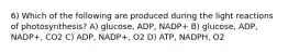 6) Which of the following are produced during the light reactions of photosynthesis? A) glucose, ADP, NADP+ B) glucose, ADP, NADP+, CO2 C) ADP, NADP+, O2 D) ATP, NADPH, O2