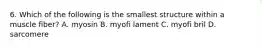 6. Which of the following is the smallest structure within a muscle fiber? A. myosin B. myofi lament C. myofi bril D. sarcomere