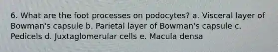 6. What are the foot processes on podocytes? a. Visceral layer of Bowman's capsule b. Parietal layer of Bowman's capsule c. Pedicels d. Juxtaglomerular cells e. Macula densa