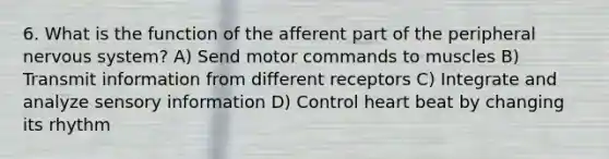 6. What is the function of the afferent part of the peripheral nervous system? A) Send motor commands to muscles B) Transmit information from different receptors C) Integrate and analyze sensory information D) Control heart beat by changing its rhythm