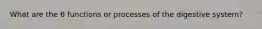 What are the 6 functions or processes of the digestive system?