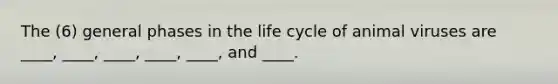 The (6) general phases in the life cycle of animal viruses are ____, ____, ____, ____, ____, and ____.